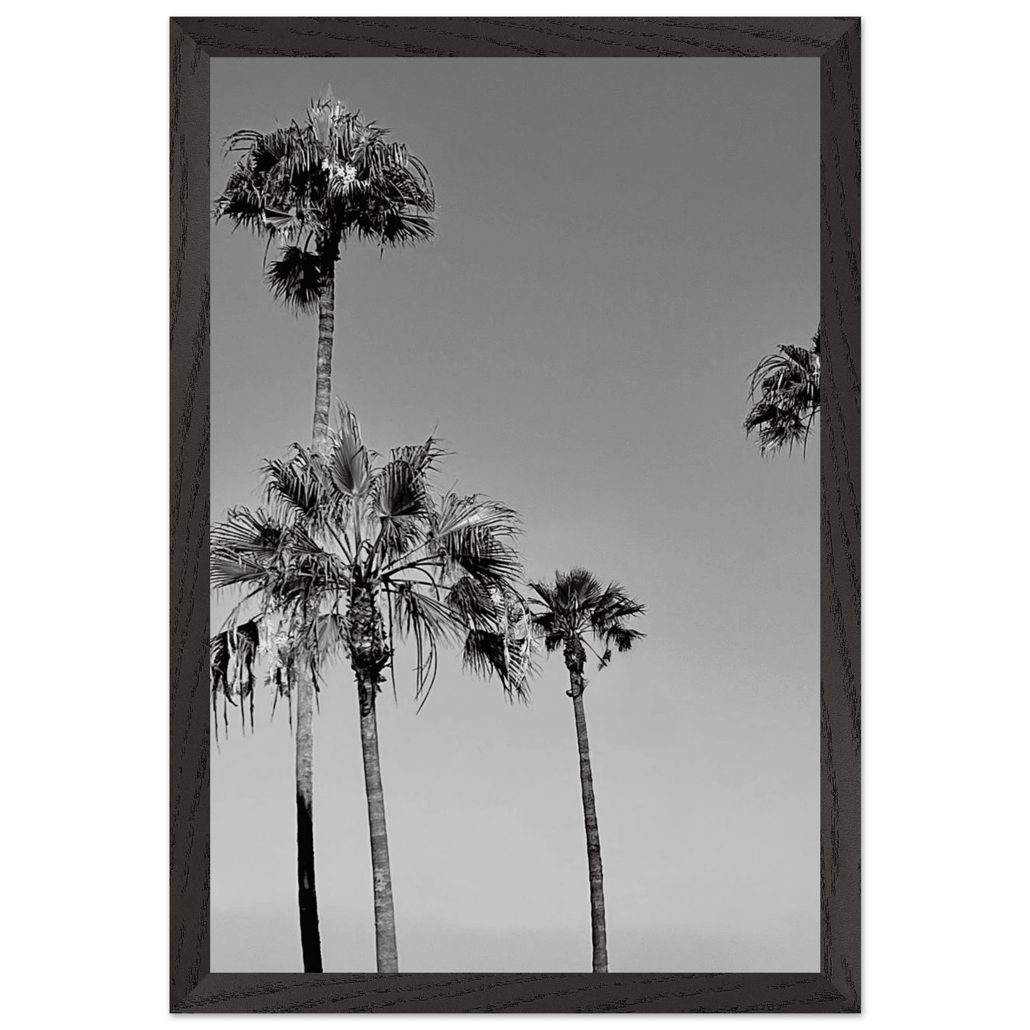 Premium wooden framed black and white poster featuring SoCal beach icons from the Studio Edition Holiday series.
