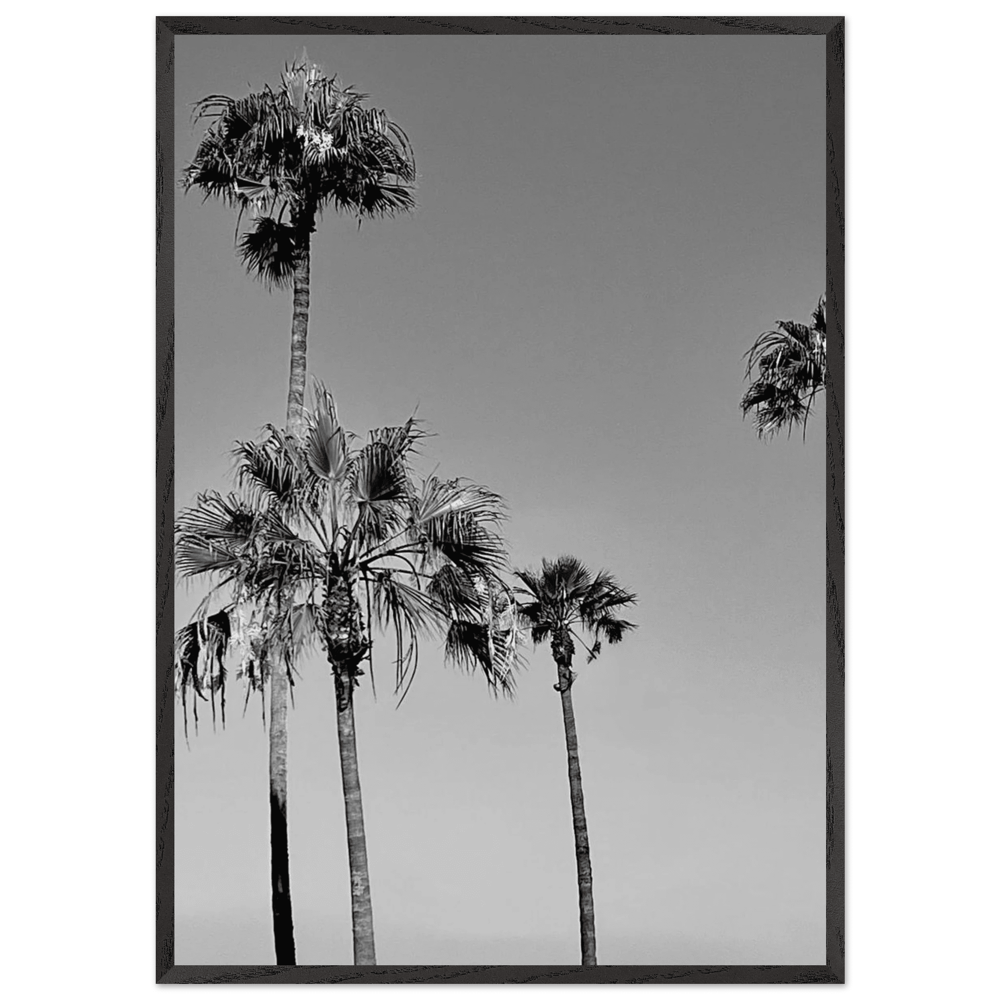 Premium wooden framed poster featuring black and white SoCal beach icons from the California Poster Art series.