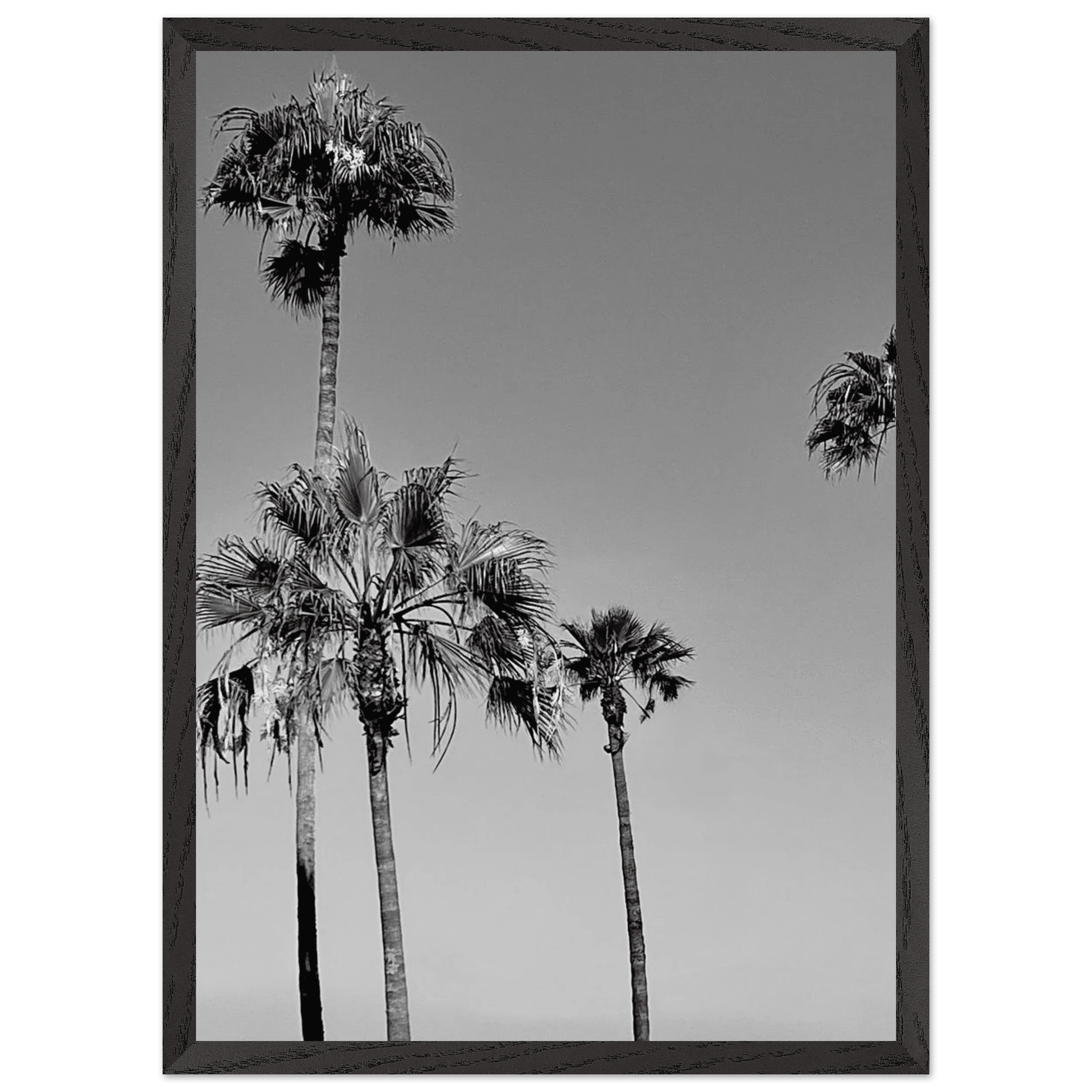 Premium wooden framed poster featuring black and white SoCal beach icons from California art series.