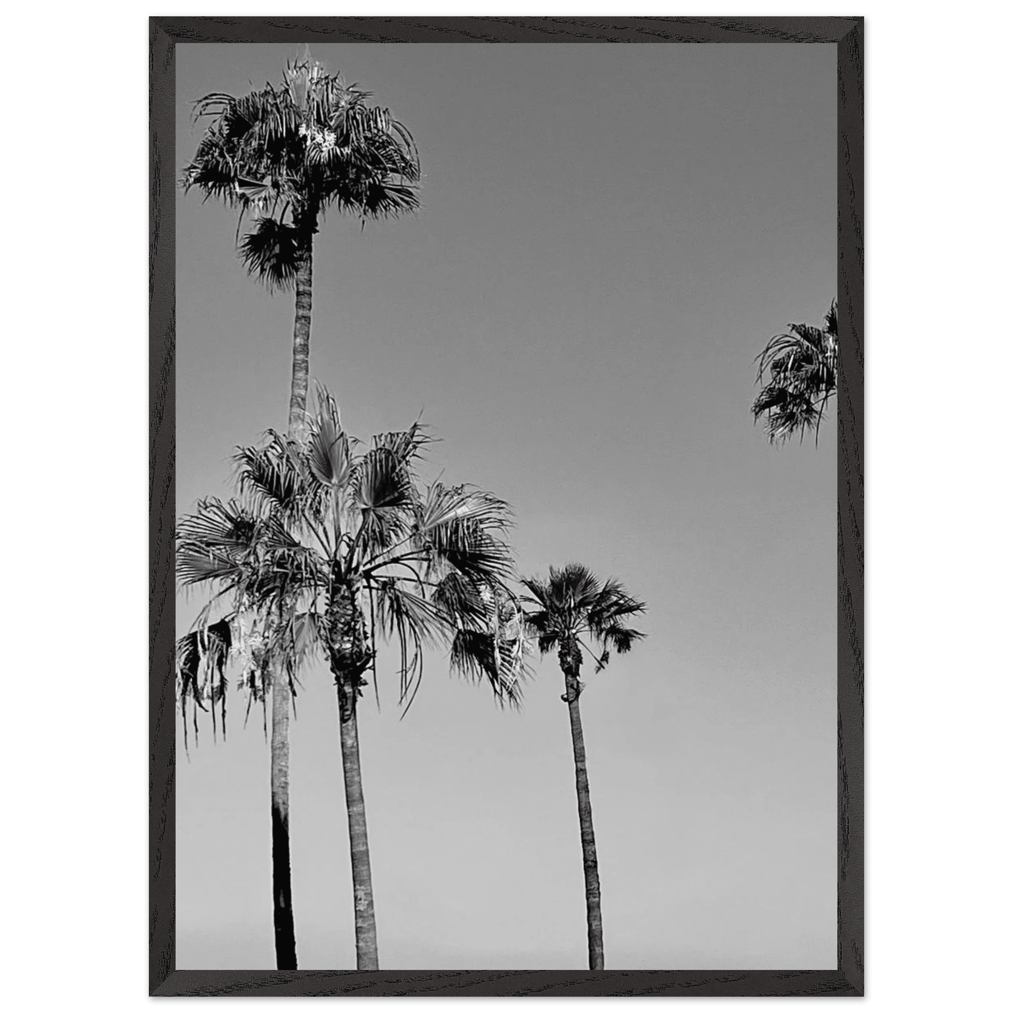 Premium wooden framed poster featuring black and white California beach icons in semi-glossy finish.