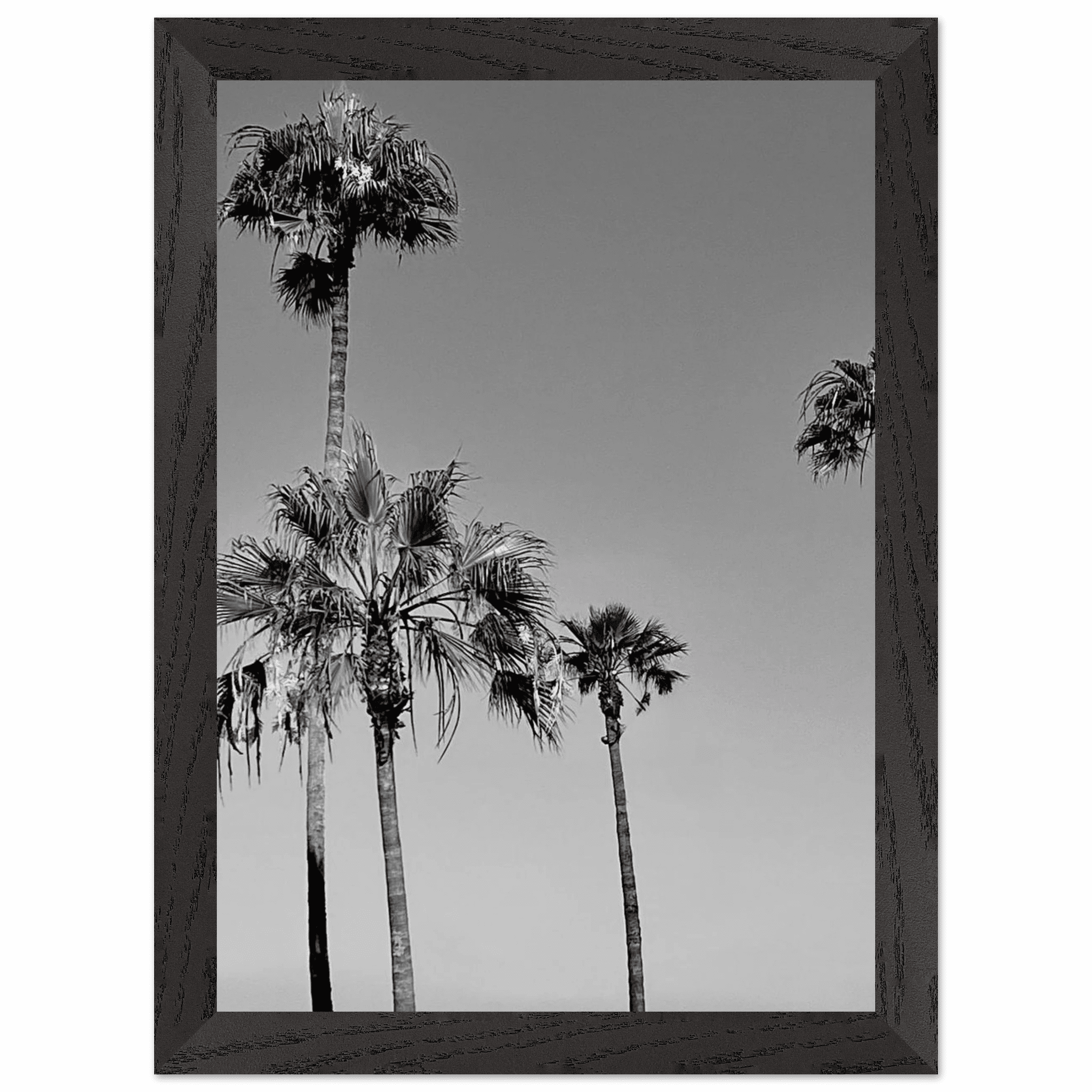 Premium wooden framed poster featuring semi-glossy black and white SoCal beach icons, California art, Studio Edition.