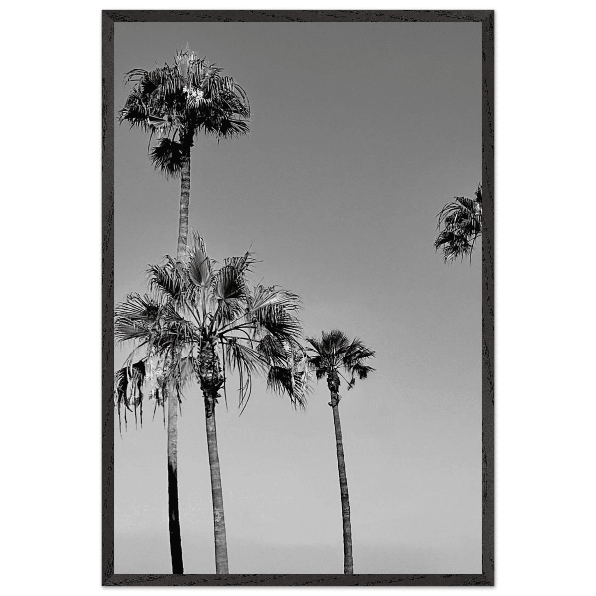 Premium wooden framed poster featuring black and white SoCal beach icons, part of the Studio Edition Holiday 25 series.