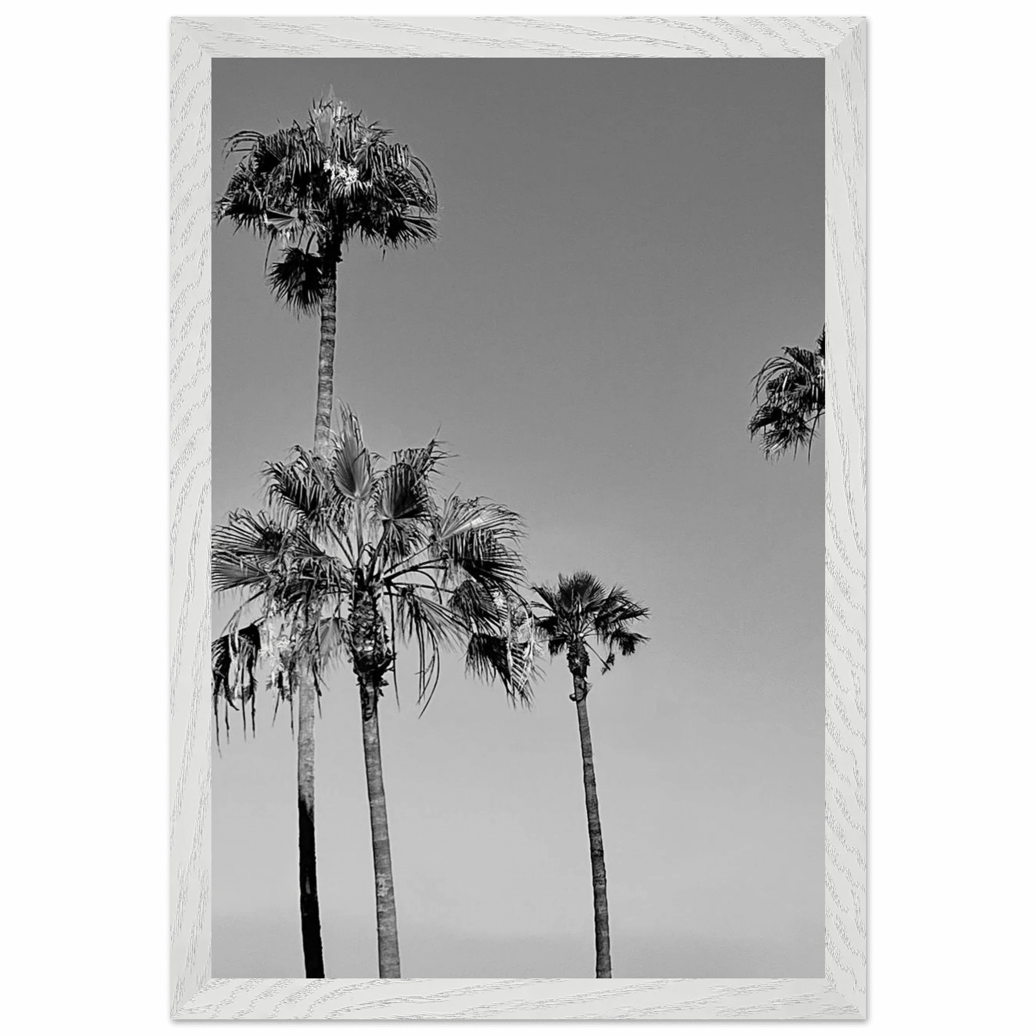 Premium wooden framed poster featuring semi-glossy black and white California beach icons from the Studio Edition.