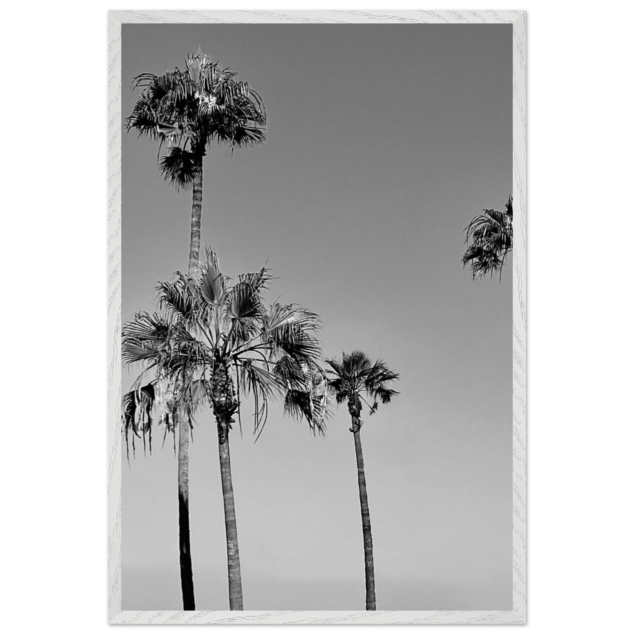 Premium wooden framed poster featuring black and white SoCal beach icons, part of Studio Edition Holiday 25 series.