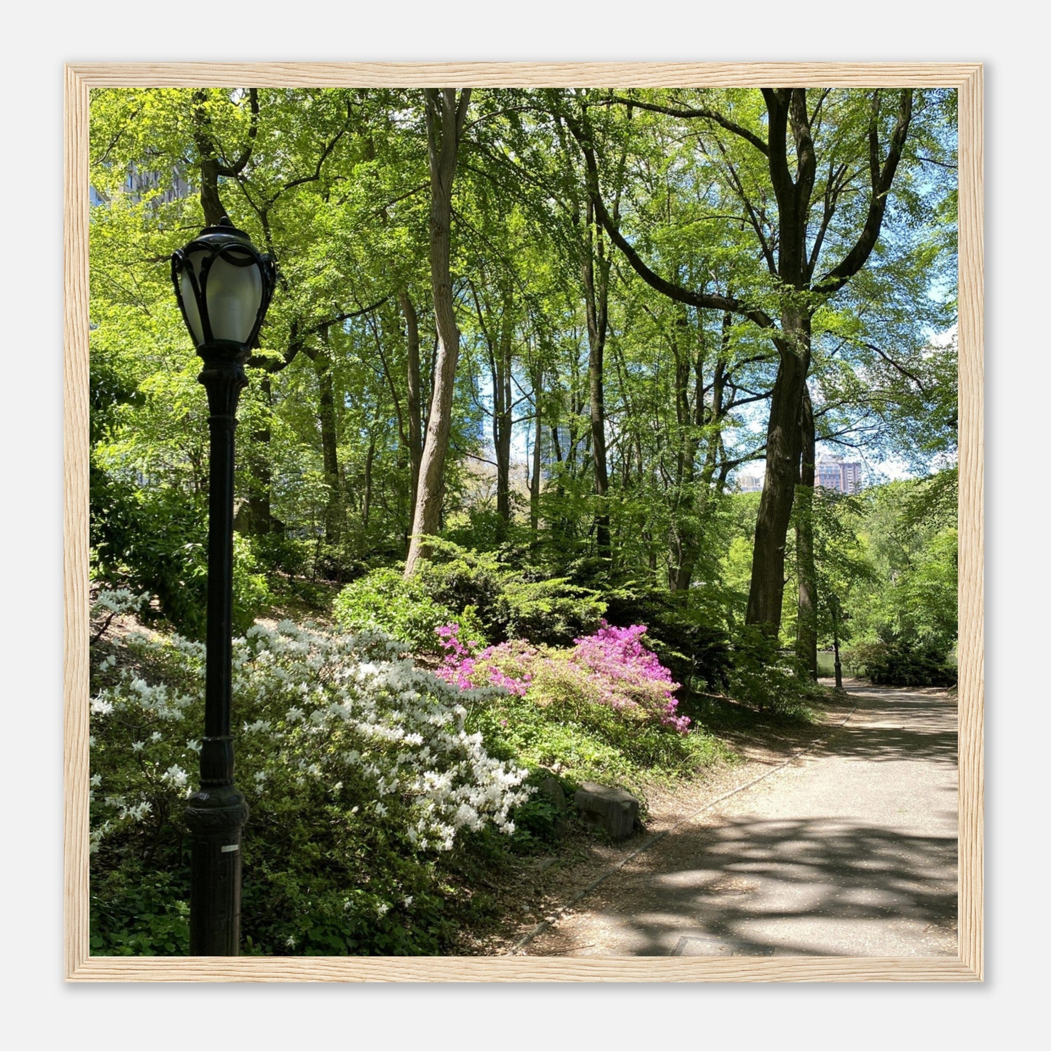 Framed art print of a Central Park walkway scene on premium matte paper with a white wooden frame, part of the Studio Edition Travel Collection.
