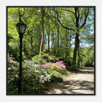 Framed art print of Central Park walkway on premium matte paper with a wooden frame, part of the Studio Edition travel collection.