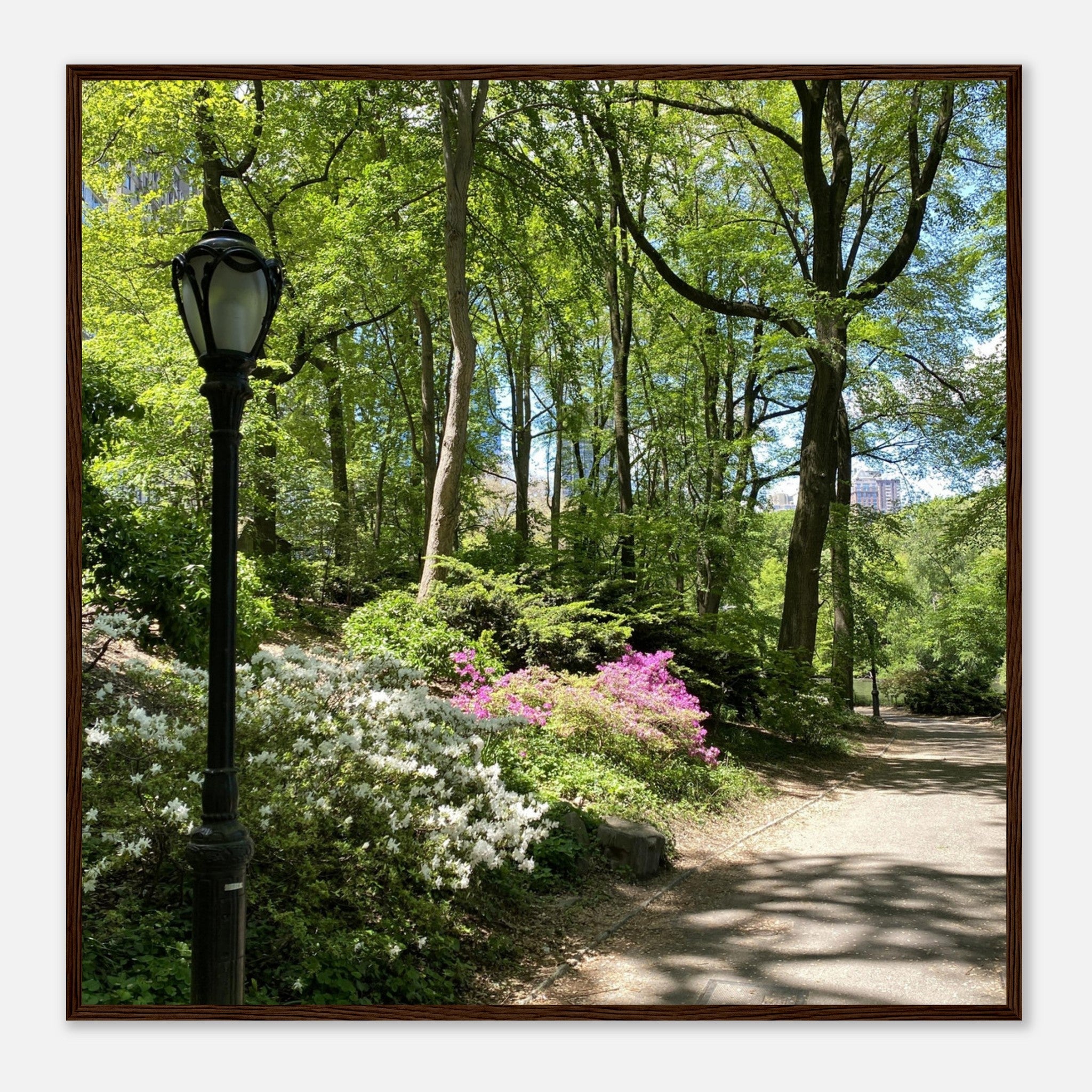 Serene Stroll Central Park walkway framed art print on premium matte paper with a white wooden frame, part of the Travel Collection.