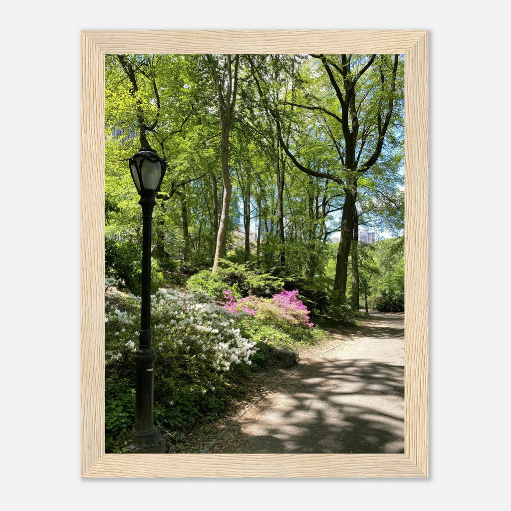 Framed art print of Central Park walkway titled "Serene Stroll" on premium matte paper with white wooden frame, part of travel collection.