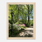 Framed art print of Central Park walkway titled "Serene Stroll" on premium matte paper with white wooden frame, part of travel collection.