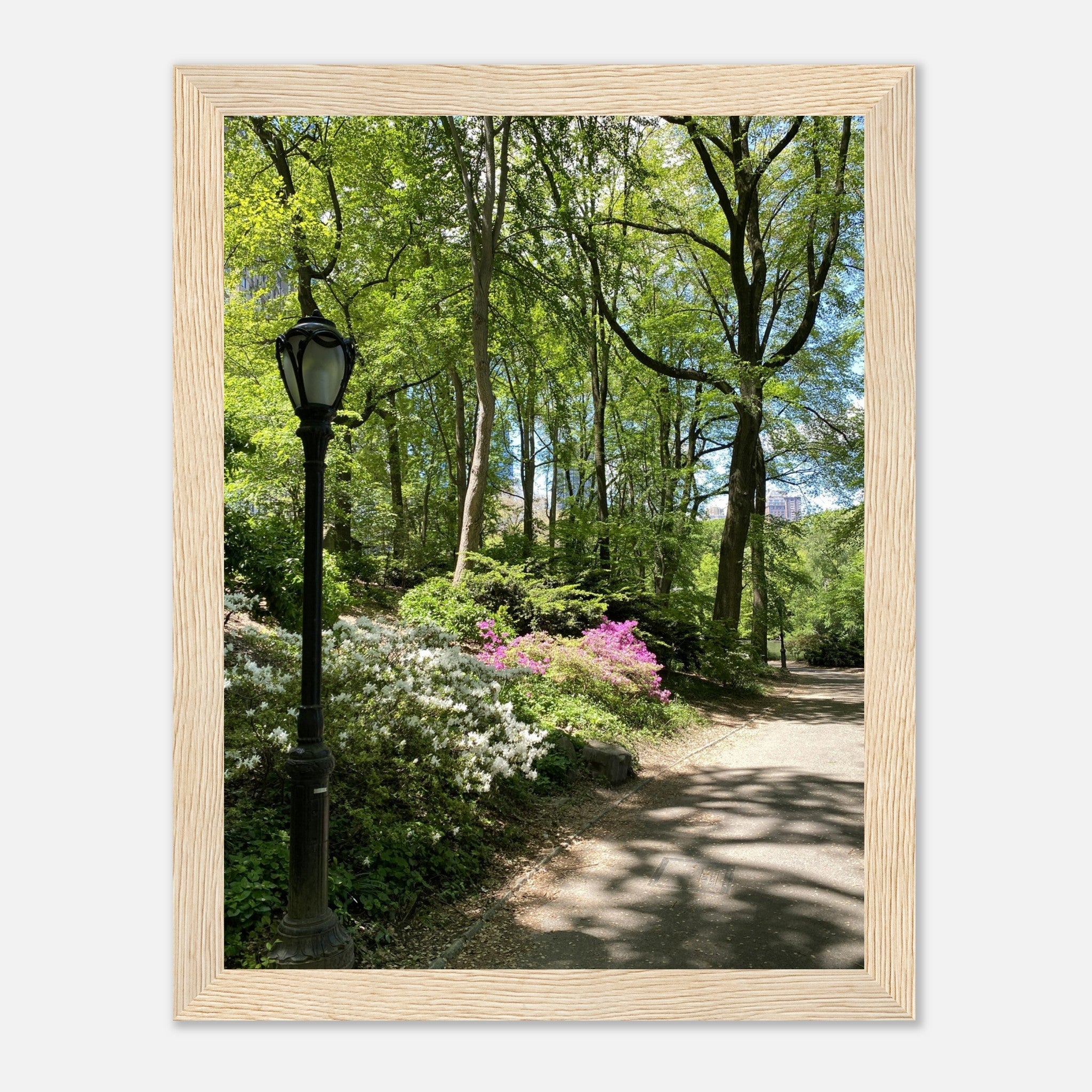 Framed art print of Central Park walkway titled "Serene Stroll" on premium matte paper with white wooden frame, part of travel collection.