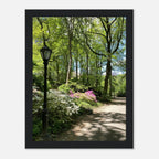 Serene Stroll Central Park walkway framed art print on premium matte paper with white wooden frame, part of travel collection studio edition