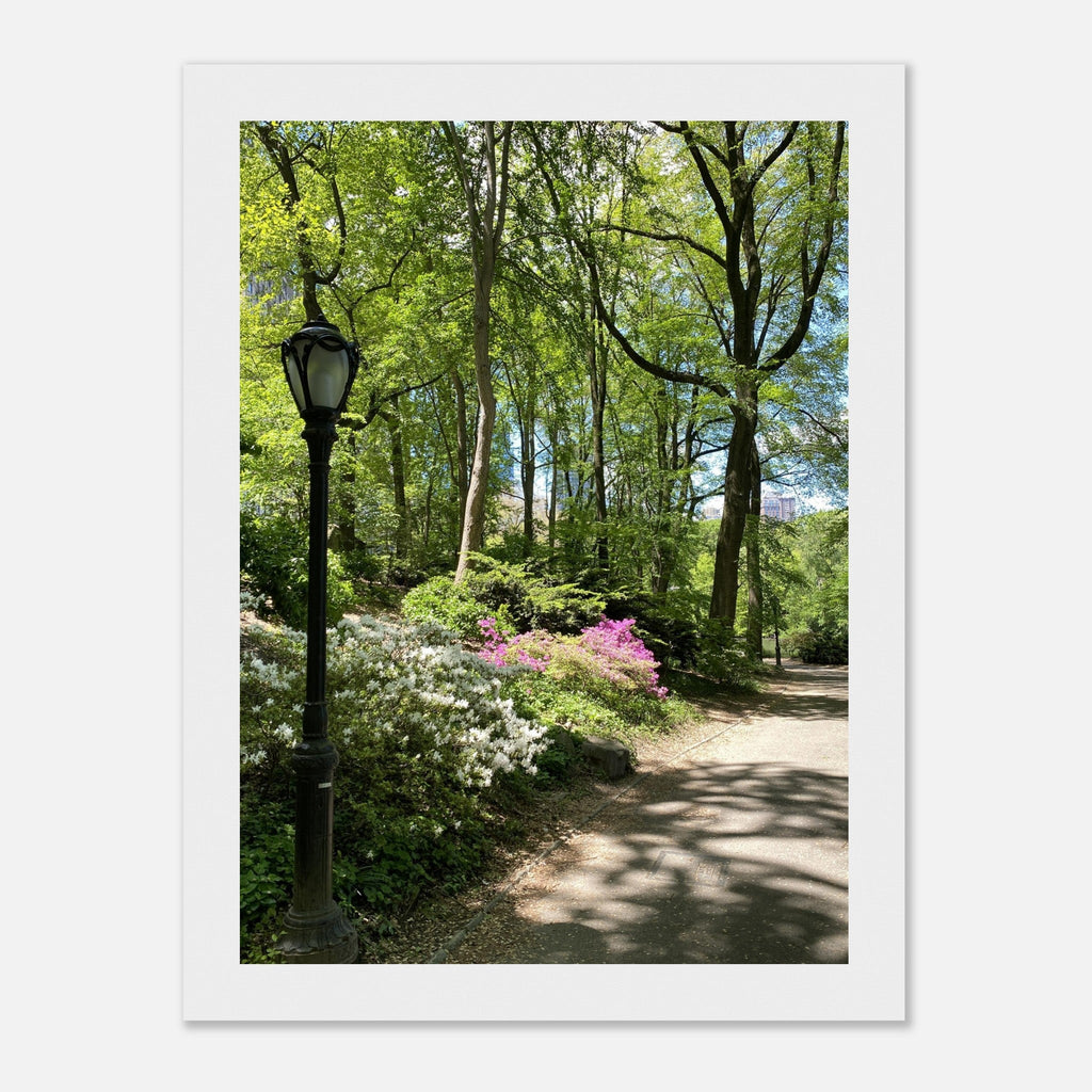Framed art print of a Central Park walkway with trees on premium matte paper, wooden frame, part of the Studio Edition travel collection.
