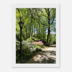 Framed art print of a Central Park walkway with trees on premium matte paper, wooden frame, part of the Studio Edition travel collection.