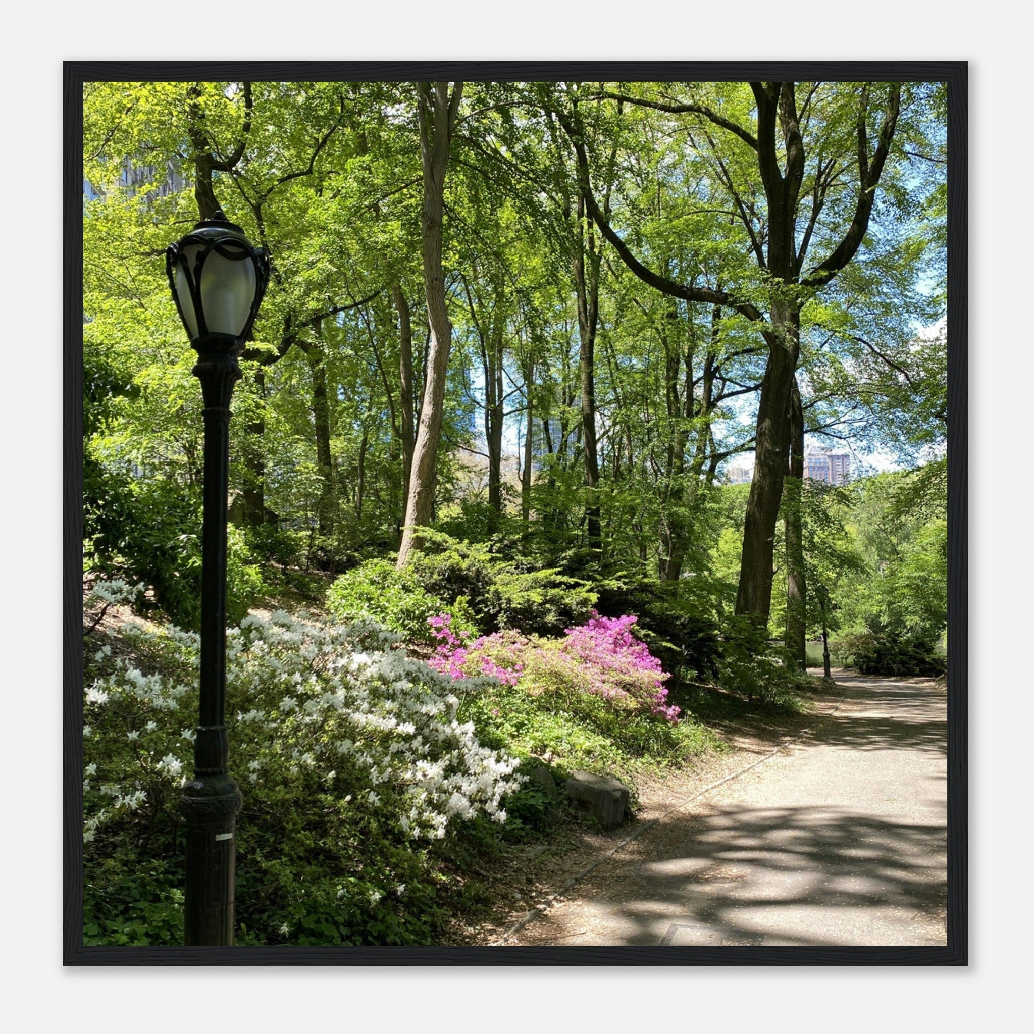 Serene Stroll Central Park walkway framed art print on premium matte paper with white wooden frame, part of the Travel Collection.