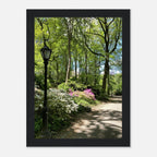 Serene Stroll Central Park walkway framed art print on premium matte paper with white wooden frame, part of Travel Collection Studio Edition.