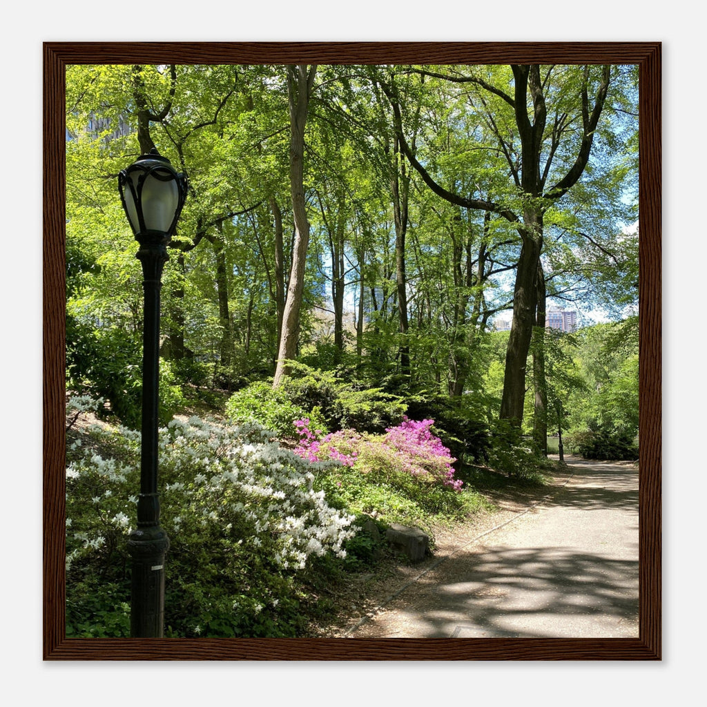 Framed art print of Central Park walkway in premium matte paper with white wooden frame, part of the Travel Collection studio edition.