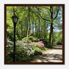 Framed art print of Central Park walkway in premium matte paper with white wooden frame, part of the Travel Collection studio edition.