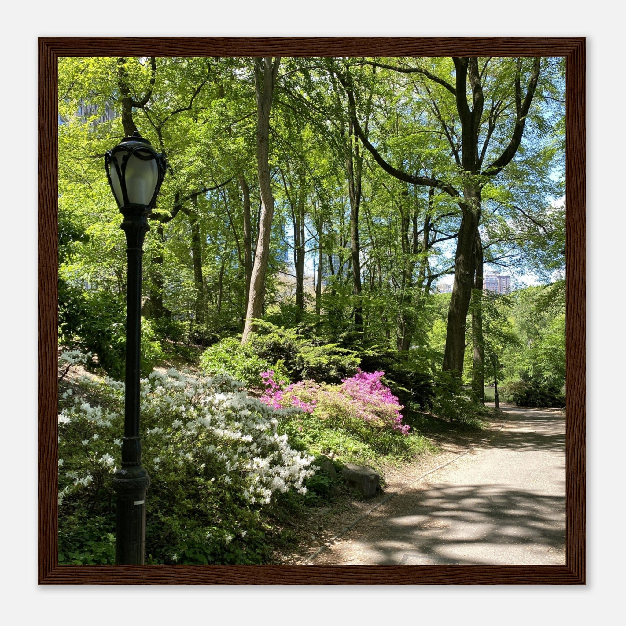 Framed art print of Central Park walkway in premium matte paper with white wooden frame, part of the Travel Collection studio edition.