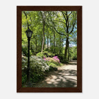 Framed art print of Central Park walkway on premium matte paper with white wooden frame, part of the Travel Collection Studio Edition.
