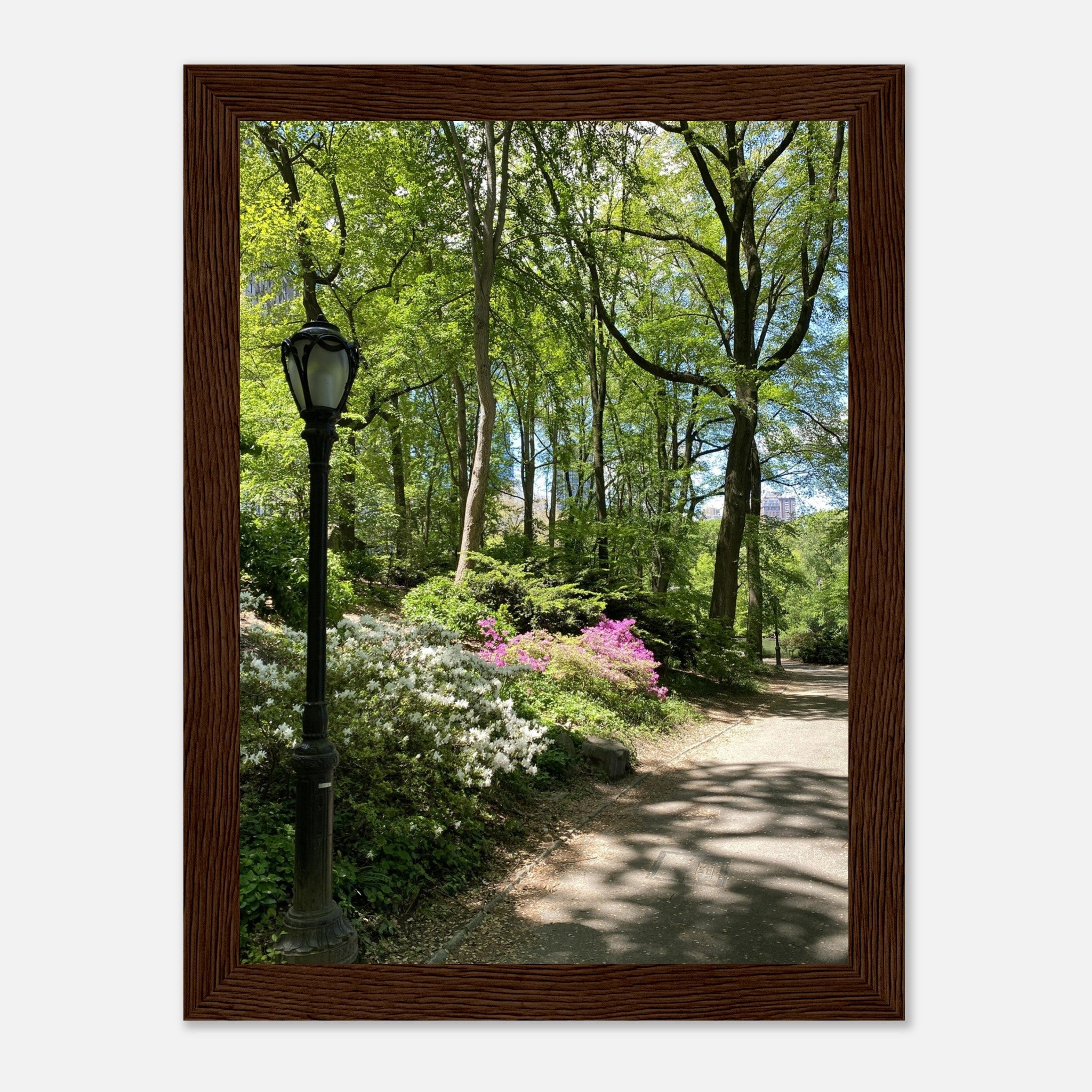 Framed art print of Central Park walkway on premium matte paper with white wooden frame, part of the Travel Collection Studio Edition.
