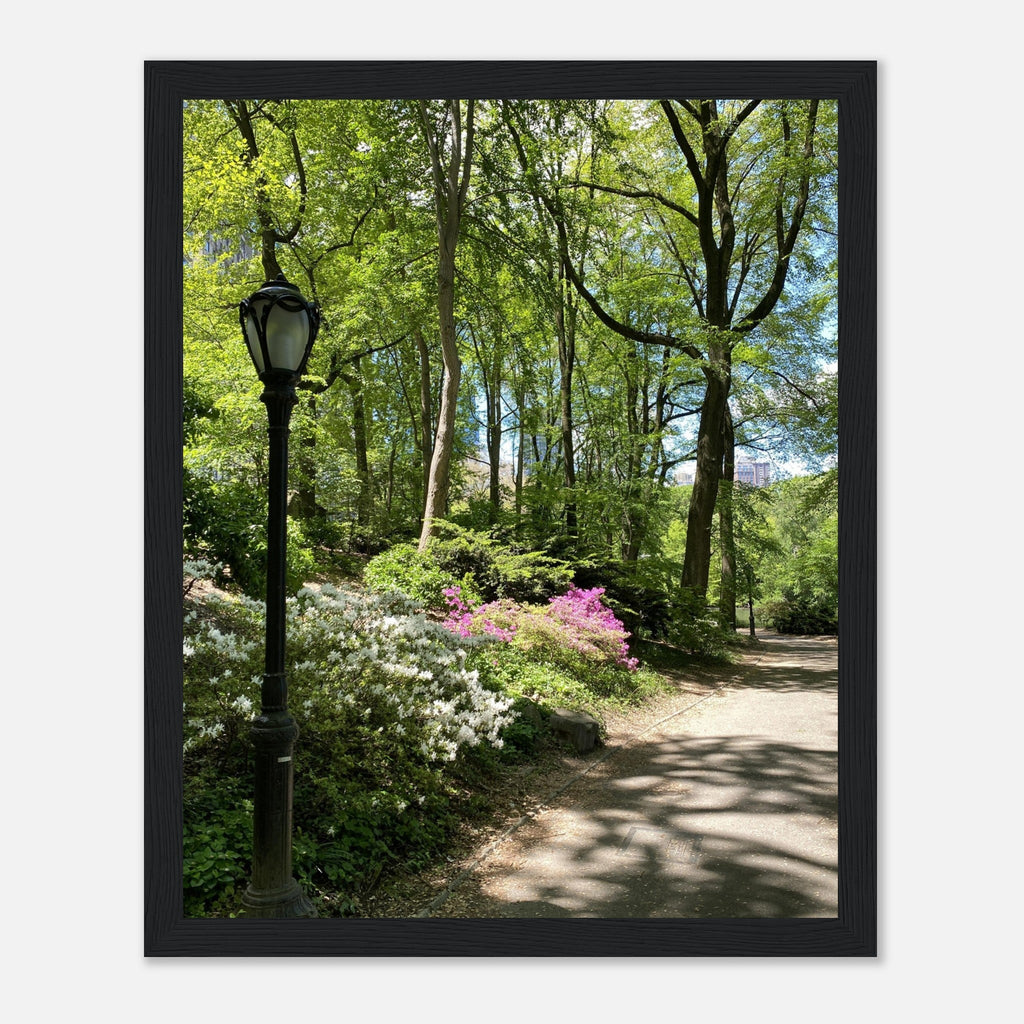 Serene Stroll Central Park walkway framed art on premium matte paper with white wooden frame, part of travel collection studio edition.