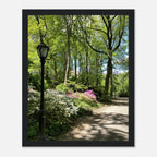 Serene Stroll Central Park walkway framed art on premium matte paper with white wooden frame, part of travel collection studio edition.