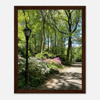 Framed art print of Central Park walkway on premium matte paper with a white wooden frame, part of the Studio Edition travel collection.