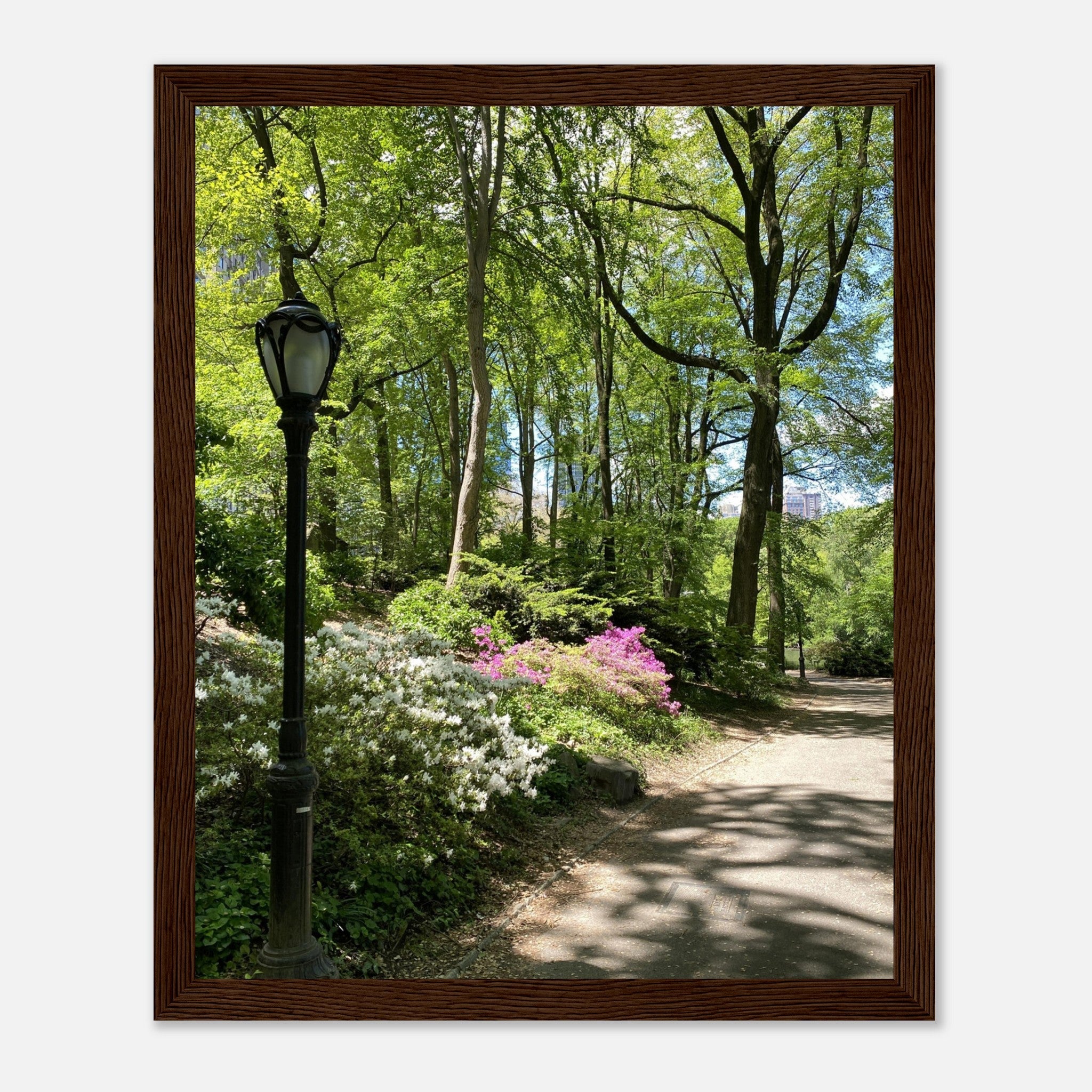 Framed art print of Central Park walkway on premium matte paper with a white wooden frame, part of the Studio Edition travel collection.