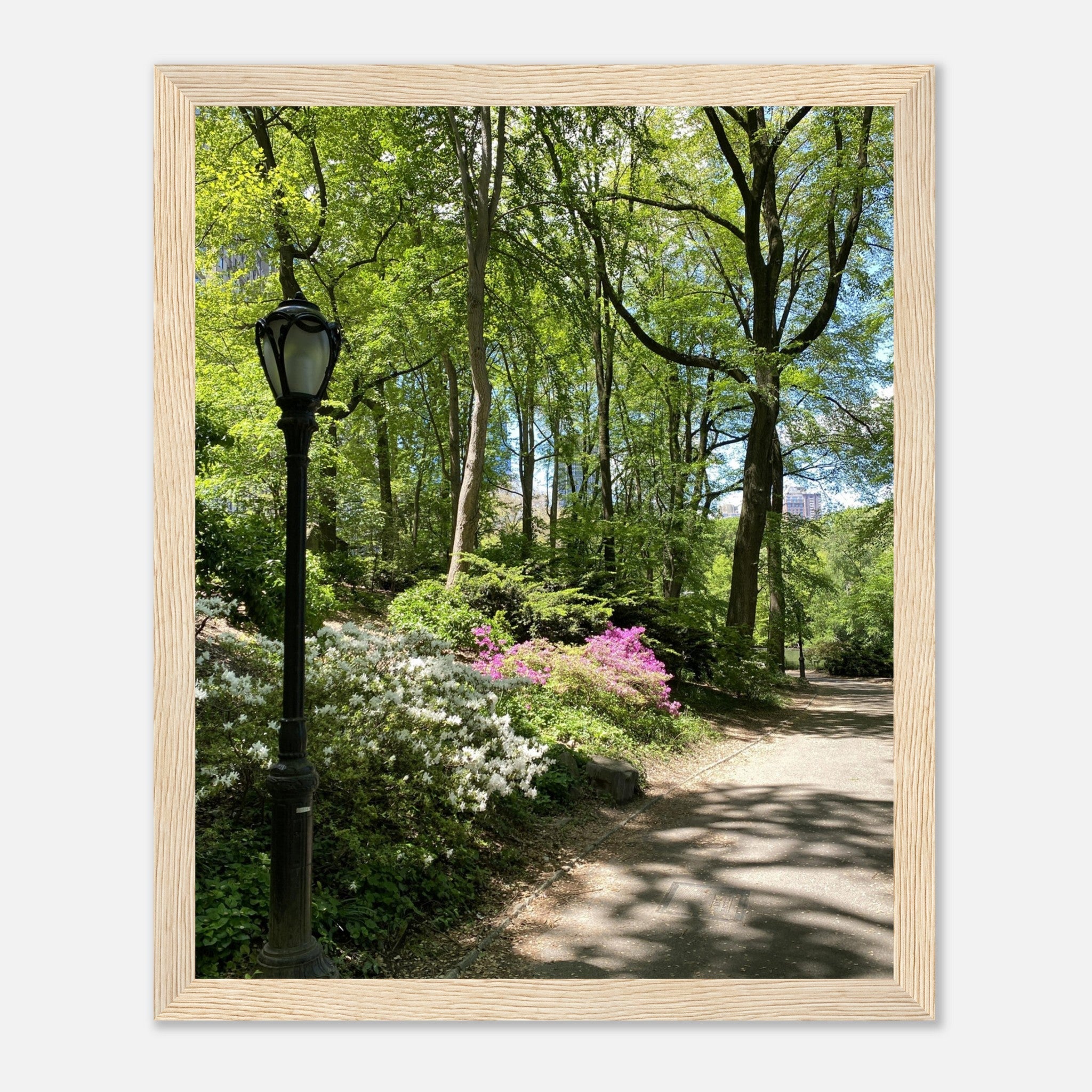 Framed print of Central Park walkway scene on premium matte paper with wooden frame, part of the Studio Edition travel collection.