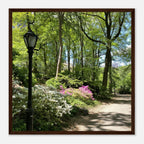 Framed art print of Central Park walkway on premium matte paper with a white wooden frame, part of the Travel Collection Studio Edition.