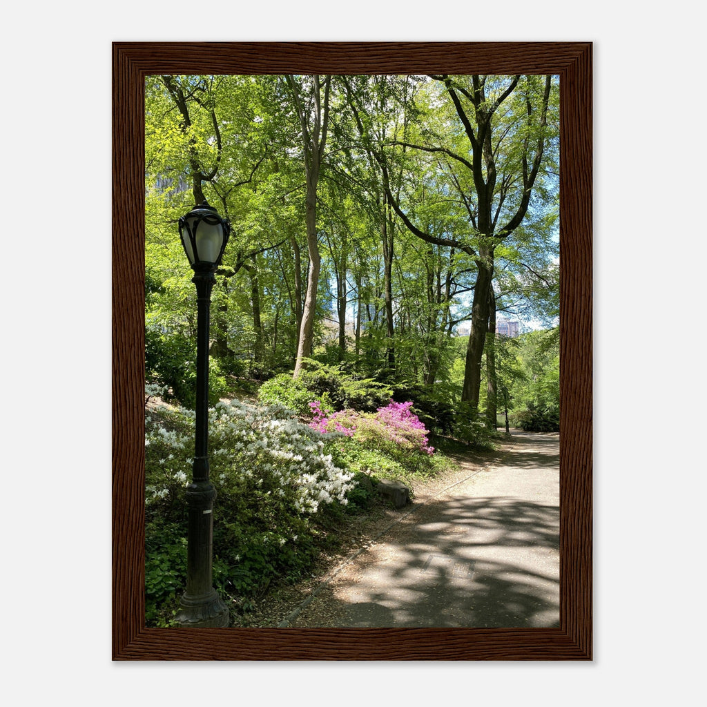 Framed art print of a Central Park walkway on premium matte paper with a white wooden frame, part of the Travel Collection.