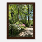 Framed art print of a Central Park walkway on premium matte paper with a white wooden frame, part of the Travel Collection.
