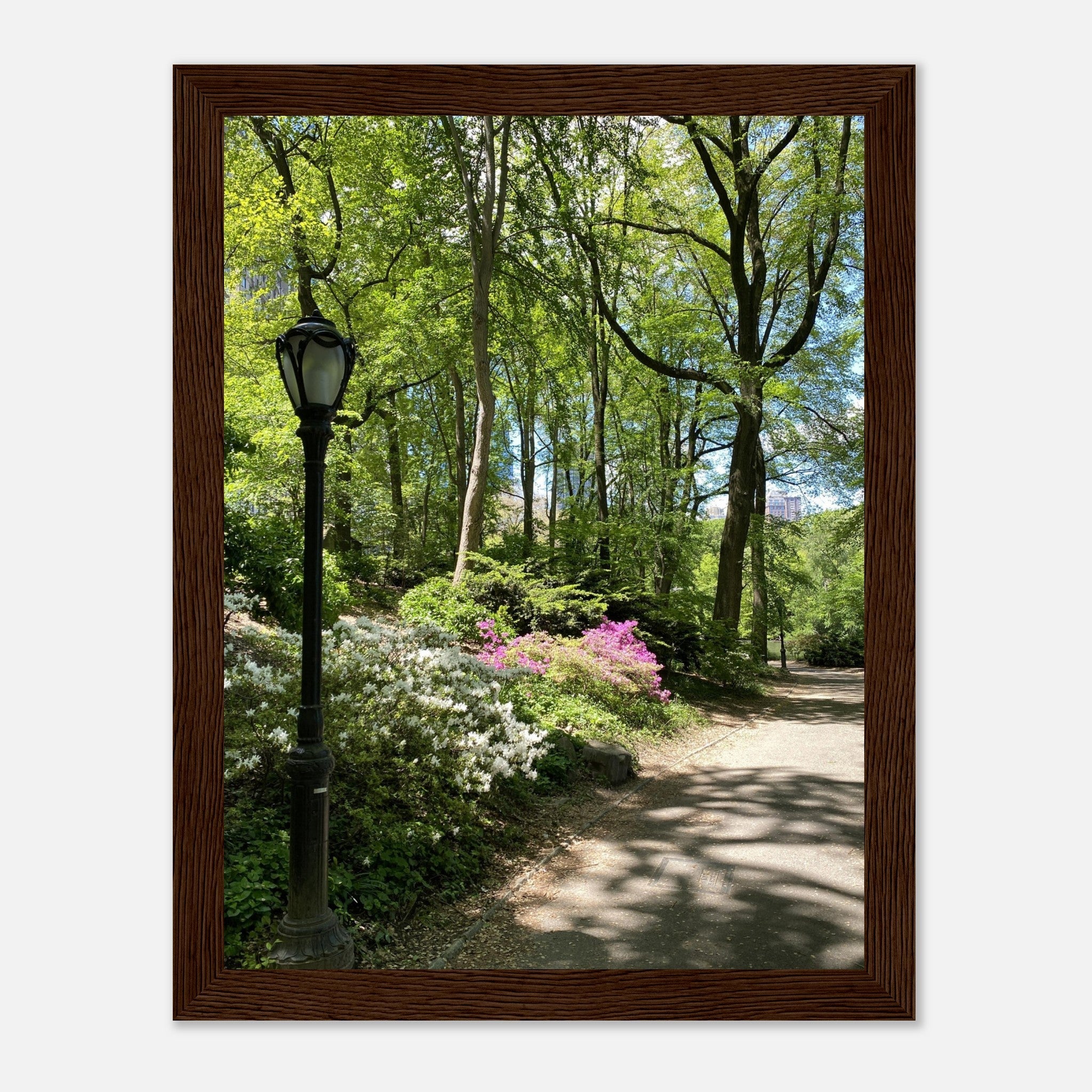Framed art print of a Central Park walkway on premium matte paper with a white wooden frame, part of the Travel Collection.