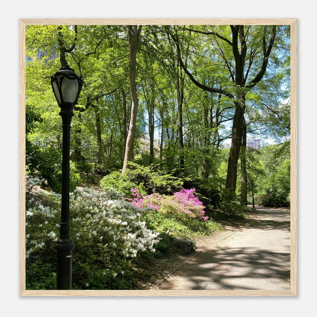 Framed print of Central Park walkway on premium matte paper with a wooden frame, part of the Studio Edition travel collection.