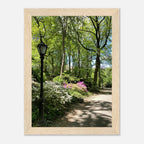 Framed art print of Central Park walkway on premium matte paper with white wooden frame, part of the Travel Collection Studio Edition.