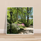 Central Park walkway framed art print on premium matte paper with a white wooden frame, part of the Studio Edition travel collection.
