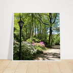 Framed art print of Central Park walkway on premium matte paper with a white wooden frame, part of the Studio Edition travel collection.