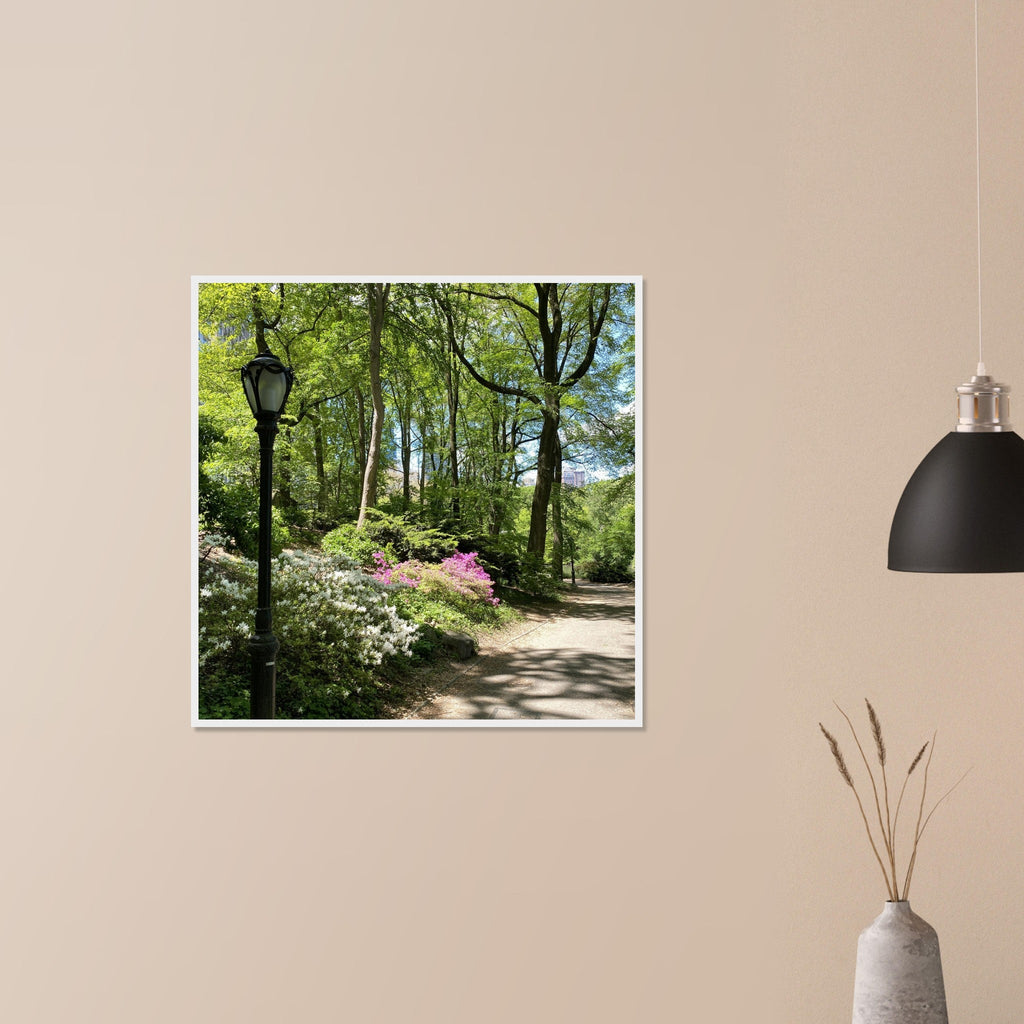 Framed art print of Central Park walkway on premium matte paper with a white wooden frame, part of the Travel Collection Studio Edition.