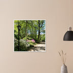 Framed art print of Central Park walkway on premium matte paper with a white wooden frame, part of the Travel Collection Studio Edition.