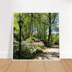 Serene Stroll Central Park walkway framed art print on premium matte paper with a wooden frame, part of the Studio Edition travel collection.
