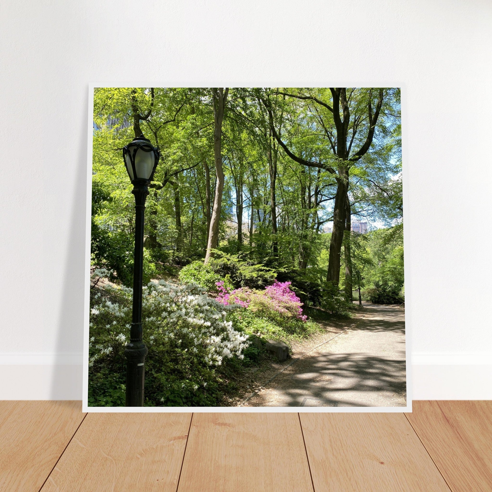 Serene Stroll Central Park walkway framed art print on premium matte paper with a wooden frame, part of the Studio Edition travel collection.