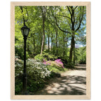 Framed art print of Central Park walkway on premium matte paper with white wooden frame, part of the Studio Edition travel collection.