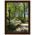 Framed art print of a Central Park walkway scene on premium matte paper with a white wooden frame from the Travel Collection.