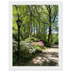 Framed art print of Central Park walkway on premium matte paper, wooden frame, part of the Studio Edition Travel Collection.