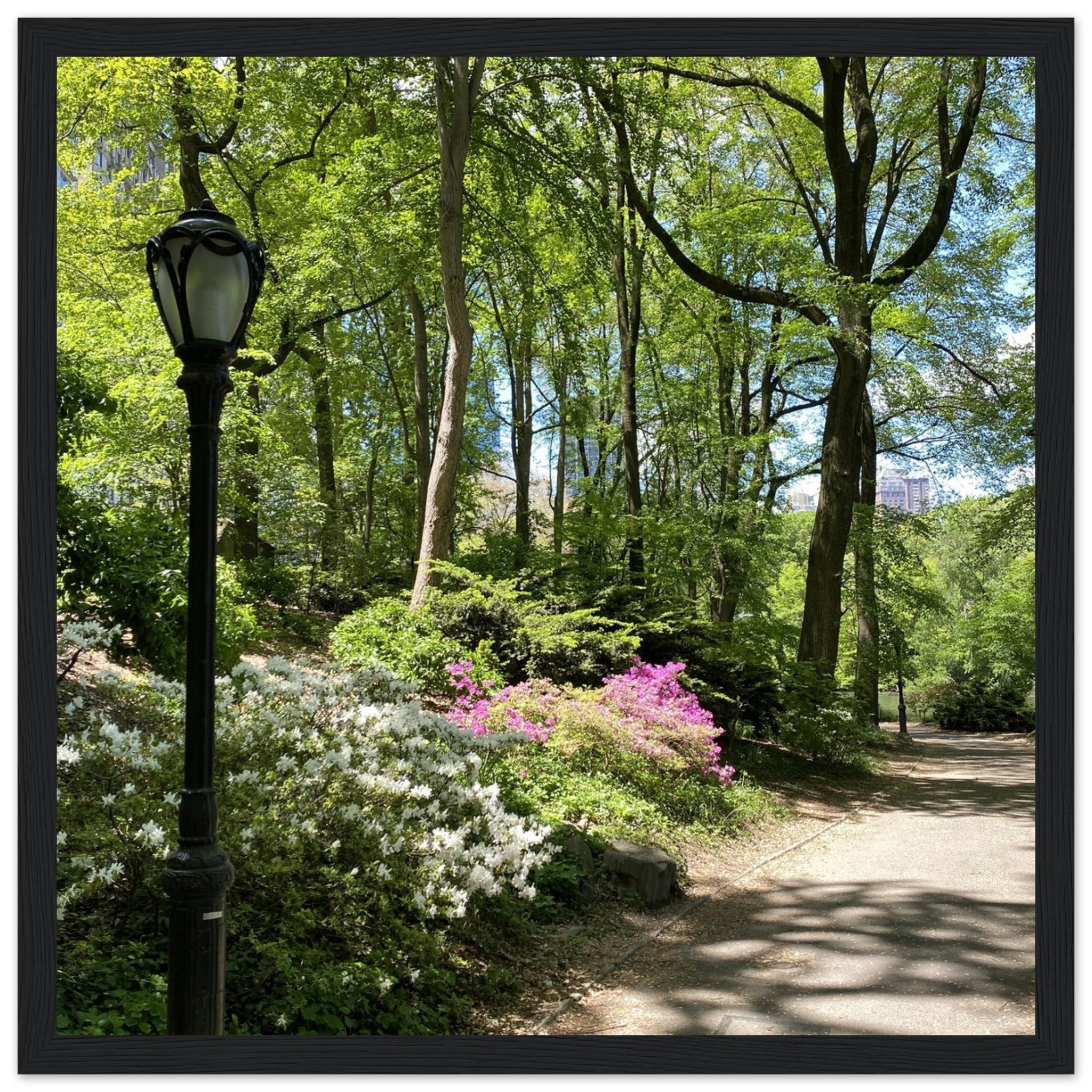 Wooden framed print of Central Park walkway artwork on premium matte paper from the Serene Stroll travel collection.