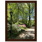 Serene Stroll Central Park walkway framed art print on premium matte paper with white wooden frame, part of the Travel Collection.