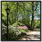 Framed art print of Central Park walkway on premium matte paper with a white wooden frame, part of the Travel Collection Studio Edition.