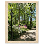 Central Park walkway framed art print on premium matte paper with white wooden frame, part of the Studio Edition travel collection.