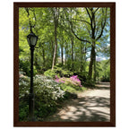 Serene Stroll Central Park walkway framed art print on premium matte paper with wooden frame, part of travel collection studio edition.