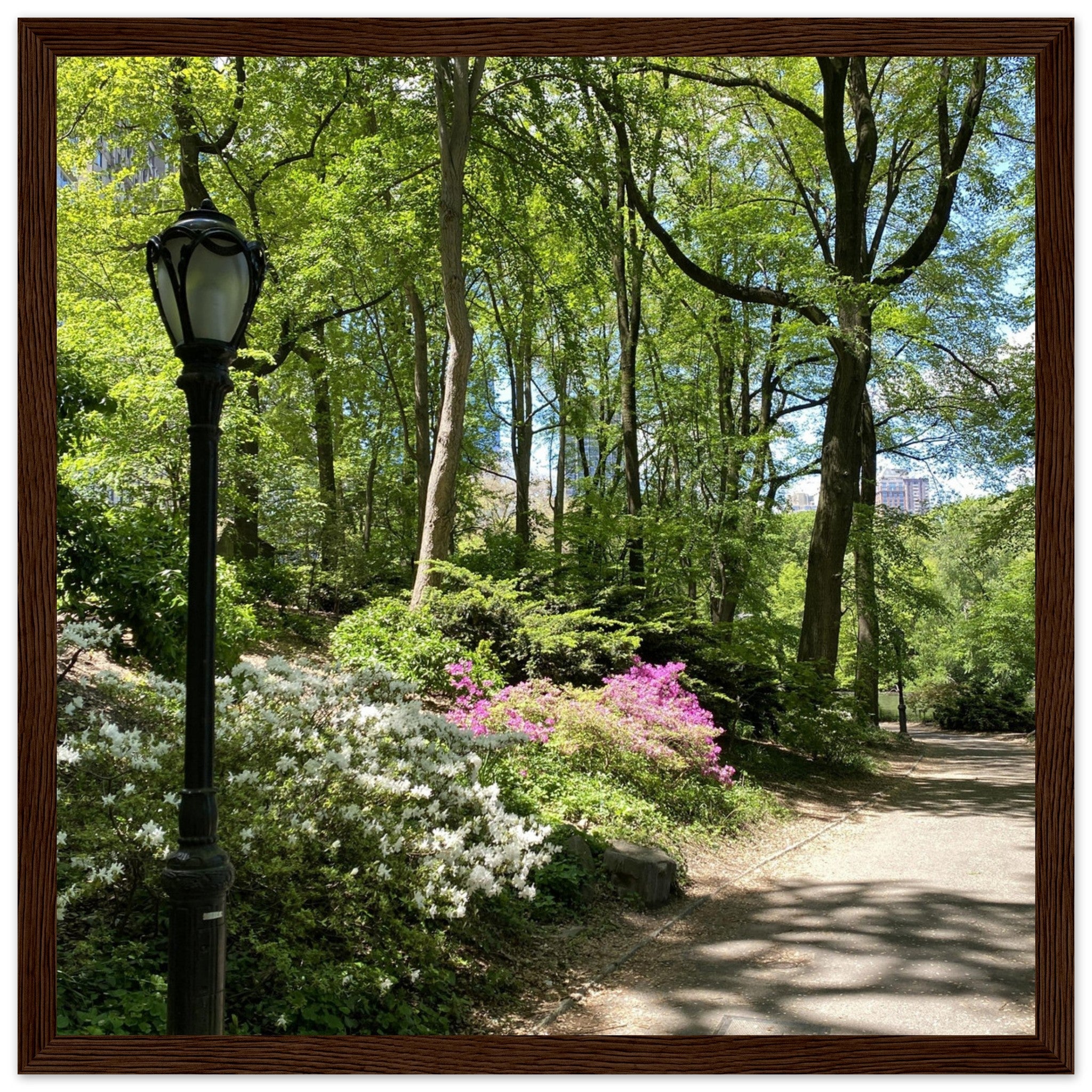Framed art print of Central Park walkway on premium matte paper with white wooden frame, part of the Studio Edition travel collection.